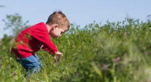 A young child participating in STEM activities on a nature walk, hunting for bugs in a nursery setting garden