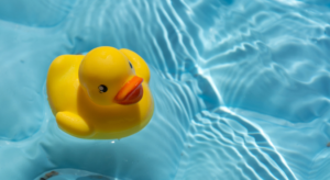 A rubber duck floating being used in a splash pool as a water play activity at nursery